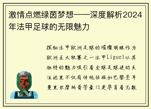 激情点燃绿茵梦想——深度解析2024年法甲足球的无限魅力