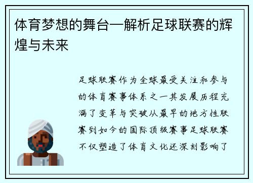 体育梦想的舞台—解析足球联赛的辉煌与未来
